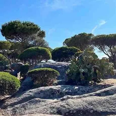 Marine De Sant'ambroggio Apartment Lumio (Corsica)